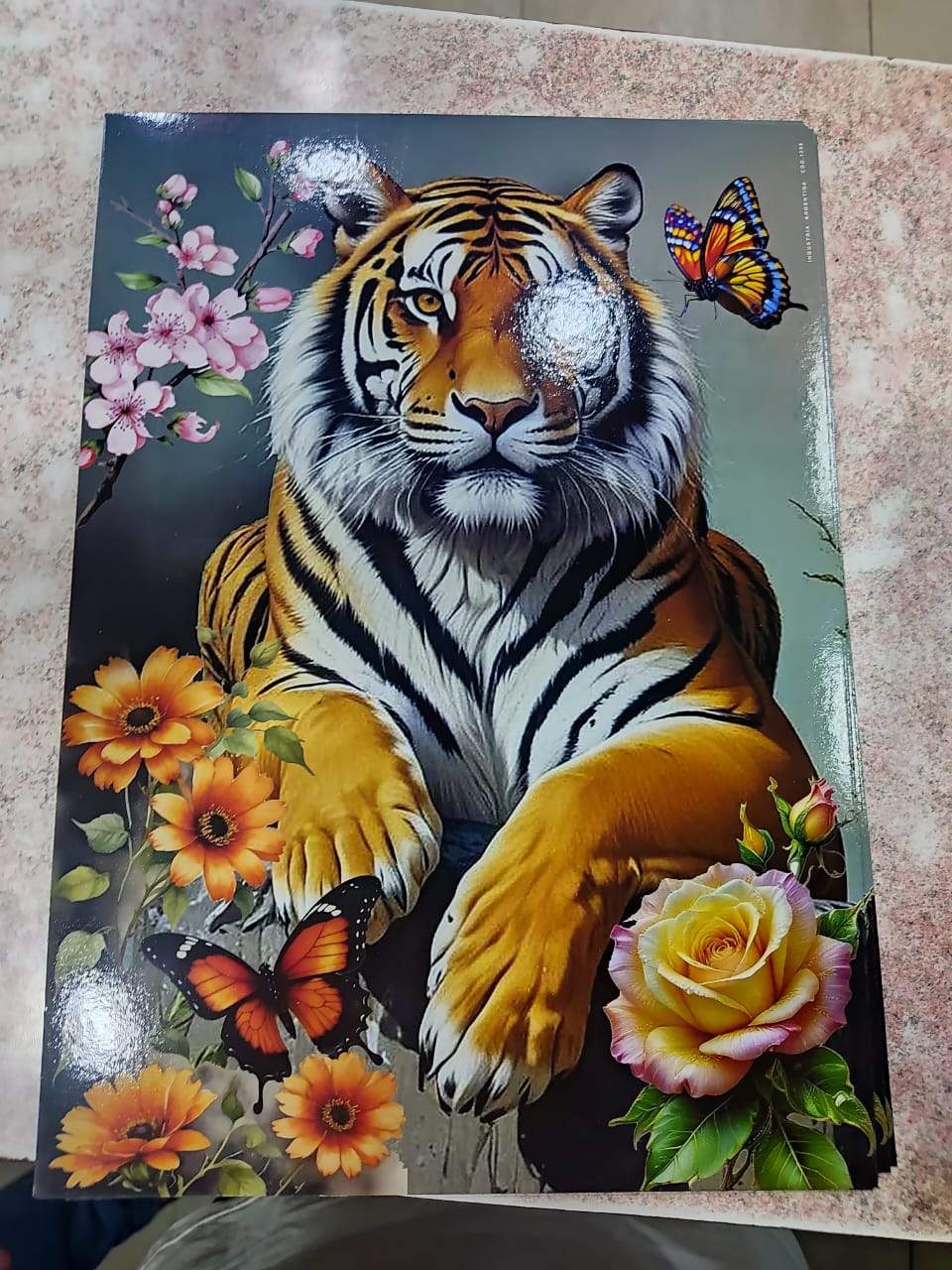 ¡LÁMINAS MEDIANAS: EL TAMAÑO PERFECTO PARA APRENDER Y DECORAR! 🤩✨