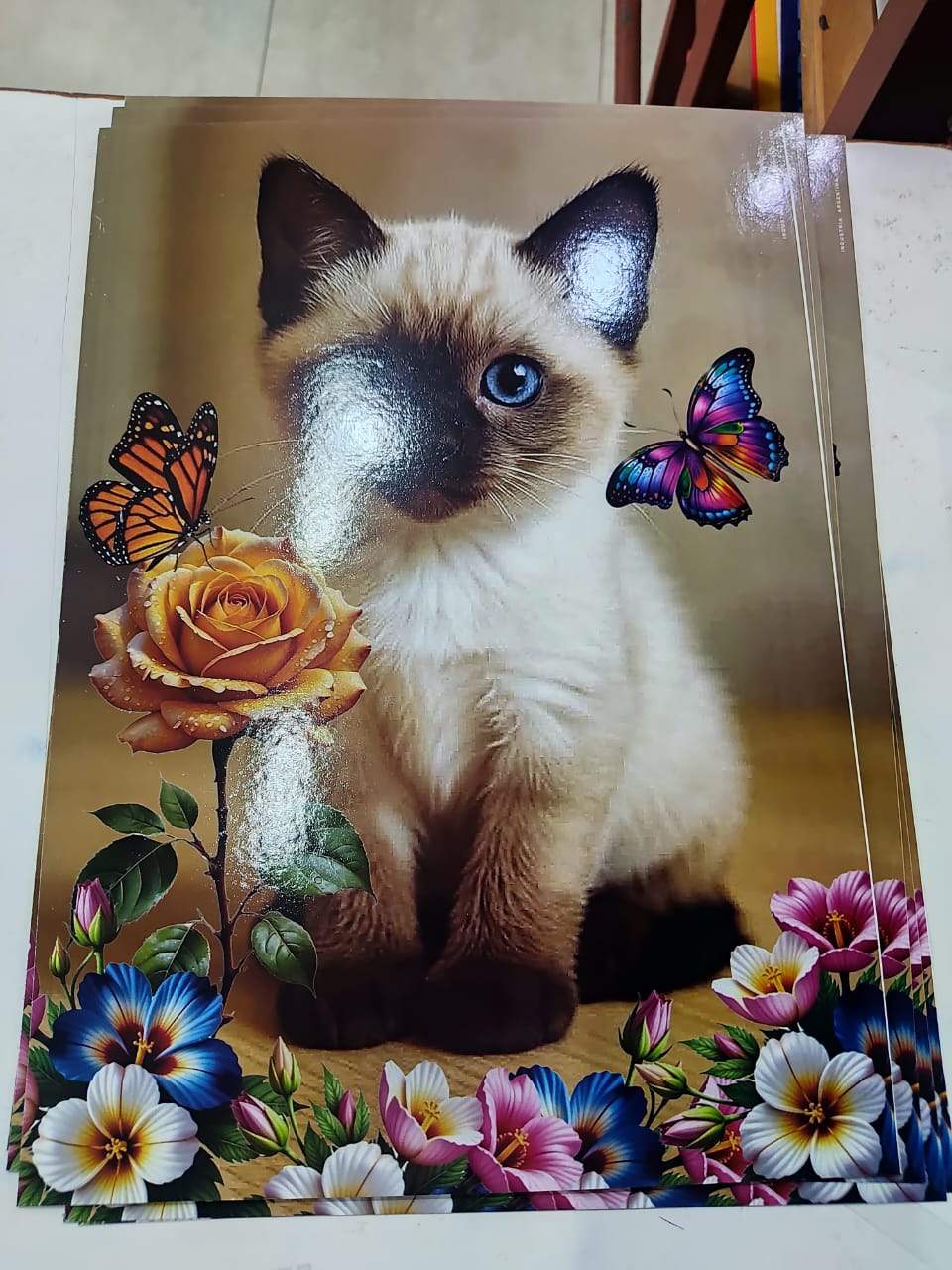 ¡LÁMINAS MEDIANAS: EL TAMAÑO PERFECTO PARA APRENDER Y DECORAR! 🤩✨