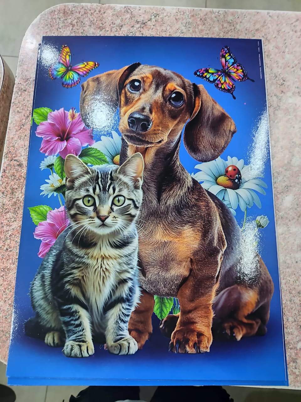 ¡LÁMINAS MEDIANAS: EL TAMAÑO PERFECTO PARA APRENDER Y DECORAR! 🤩✨